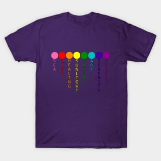 The Meaning of Pride T-Shirt